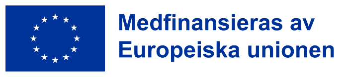 EU-flagga och text som lyder: "Medfinansieras av Europeiska unionen"